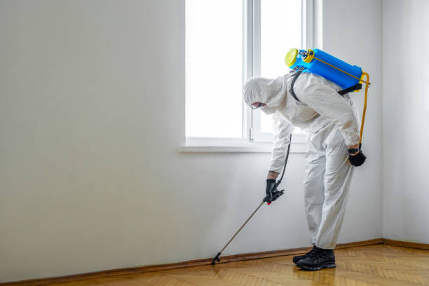 Best Affordable Pest Control Services  in Three Rivers, TX