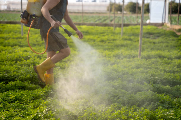 Best Best Pest Control Companies  in Three Rivers, TX
