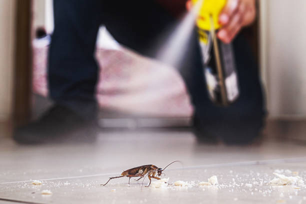 Best Mosquito Control Services  in Three Rivers, TX