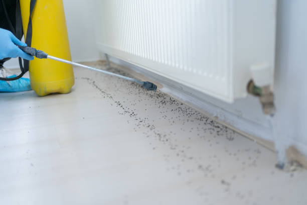 Best Rat Extermination Near Me  in Three Rivers, TX